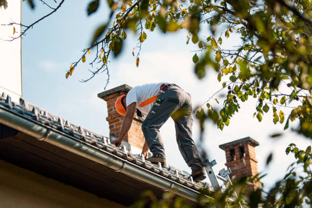 Best Flat Roof Repair Services  in Tioga, ND