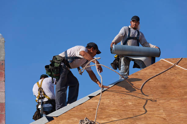 Best Commercial Roofing Services  in Tioga, ND