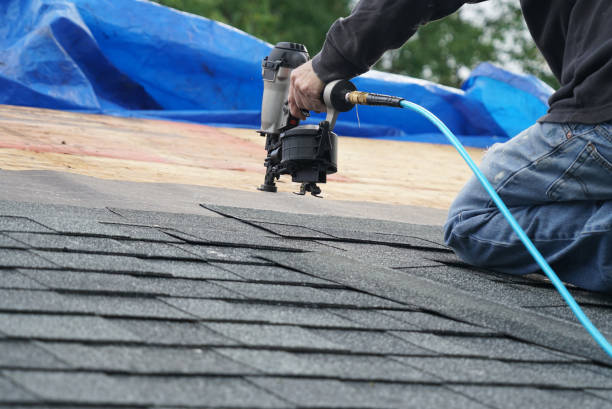 Best Roof Repair Services  in Tioga, ND